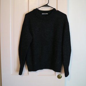Everlane Alpaca Crew Sweater